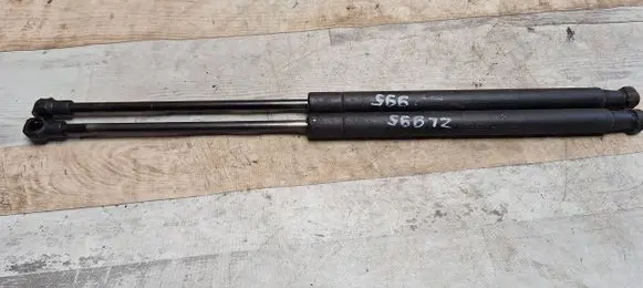 Tailgate/trunk strut/damper