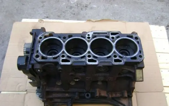 Fiat 500L Engine 955A3000
