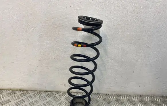 Rear coil spring