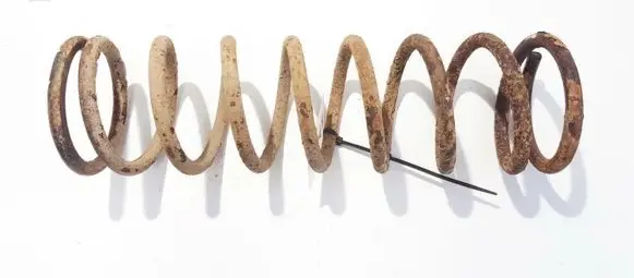 Ford Focus Rear coil spring