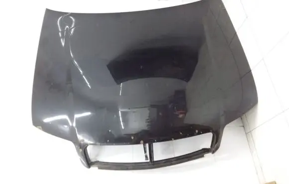 Engine bonnet/hood