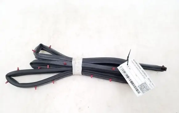 Nissan Qashqai Front door rubber seal 