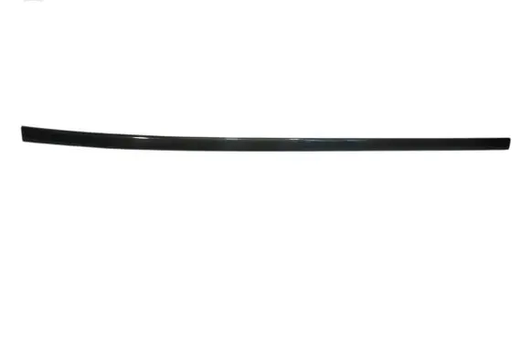 Rear door trim (molding)