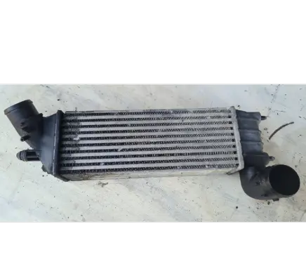 Lancia Phedra Coolant radiator PA66FV35