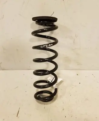 Rear coil spring