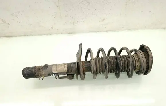 Citroen C3 Front shock absorber/damper 
