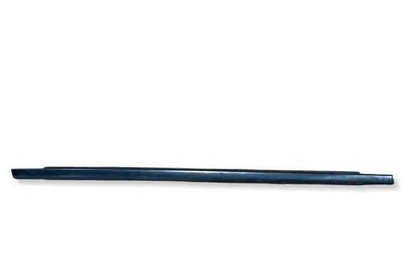 Dodge Charger Rubber seal rear door window/glass 61898A