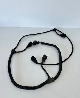 Volkswagen PASSAT B5.5 Other wiring loom 3B0973813