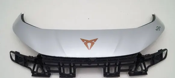 Cupra Born Front bumper 10E 807 217J