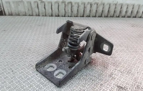 Dodge Durango Rear door lower hinge