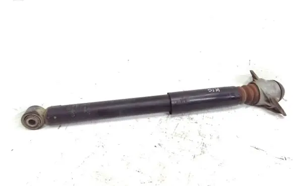 Volkswagen Beetle A5 Rear shock absorber/damper 5C0512011BT 5C0513029AG