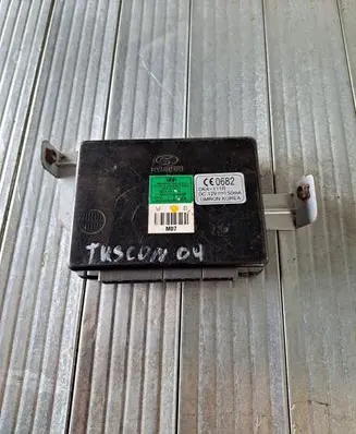 Hyundai Tucson JM Engine control unit/module 954002E210