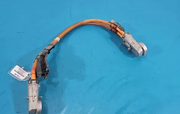 BMW iX1 Other wiring loom 767004903AA IMPRK1574454