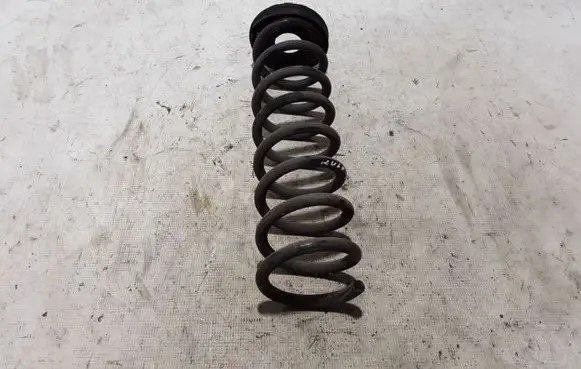 Ford Kuga II Rear coil spring 1874850