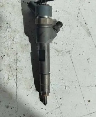Suzuki Grand Vitara II Fuel injector 0445110230