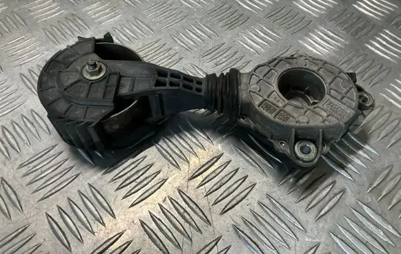 Peugeot 207 Alternator belt tensioner 75710148003