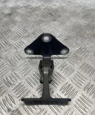 BMW X5 E70 Tailgate/trunk/boot hinge 14187910