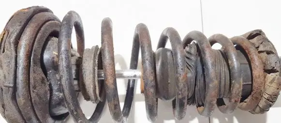 Nissan Primera Front coil spring