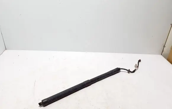 Tailgate strut