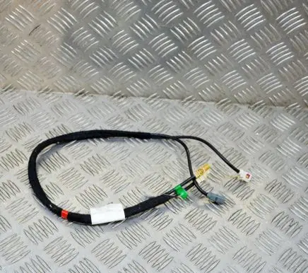 Maserati GranTurismo Other wiring loom 231162