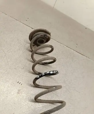 Rear coil spring