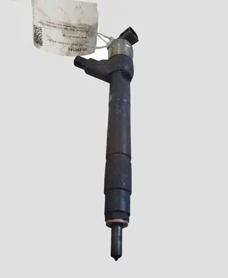 Opel Zafira C Fuel injector 55570012
