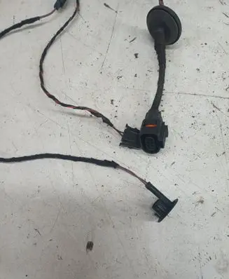 Front door wiring loom