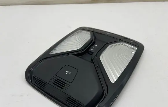 BMW 3 G20 G21 Headlining lighting console trim 5A8A10201 5A8A102