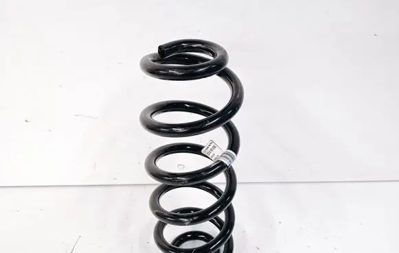 Rear coil spring