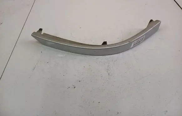 Rear/tail light trim molding