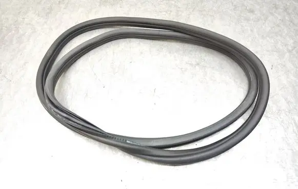 BMW X4 G02 Rear door rubber seal (on body) 7416517