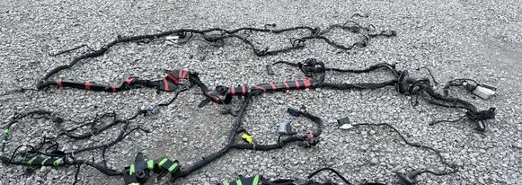 Buick Enclave II Other wiring loom 84296048