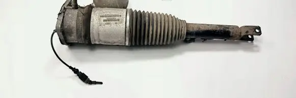 Volkswagen Phaeton Rear shock absorber/damper 3D0616002G