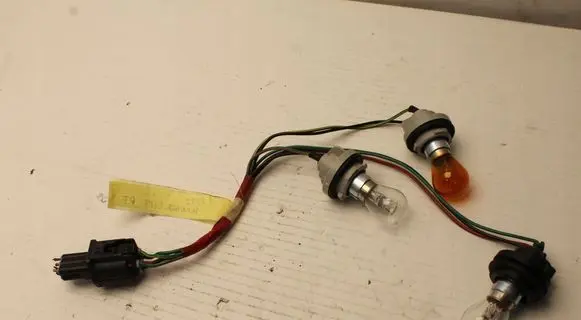 Opel Insignia A Tail light bulb cover holder 2009R