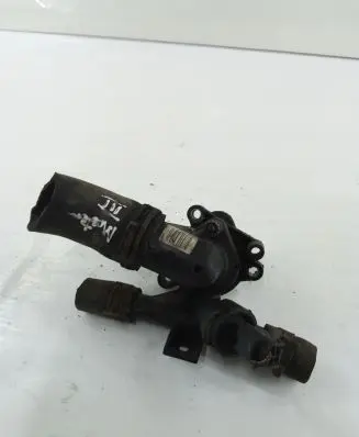 Thermostat/thermostat housing