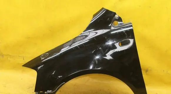 Volkswagen Fox Fender