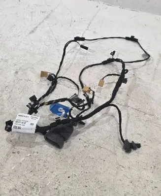 Bentley Continental Front door wiring loom 3SD971161BT TAB034356