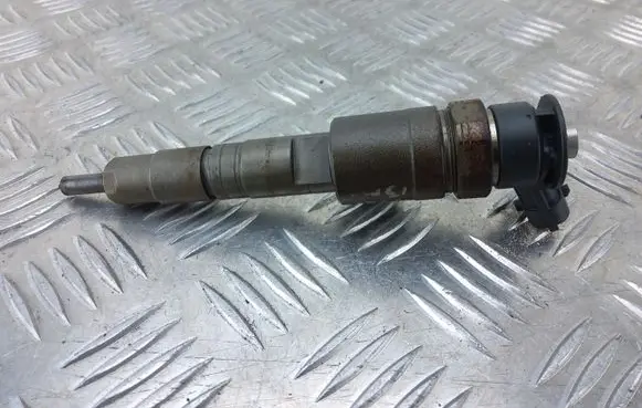 Citroen Berlingo Fuel injector 0445110340
