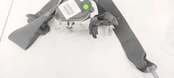 Dodge Journey Rear seatbelt 607041464B
