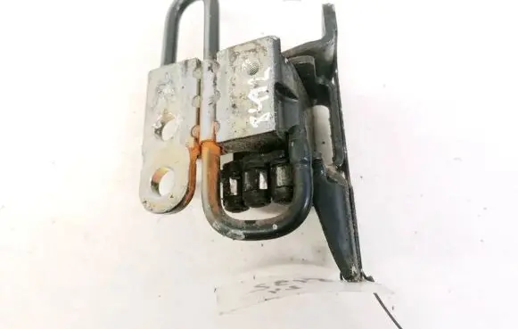 Volkswagen Phaeton Rear door lower hinge 3D4831412