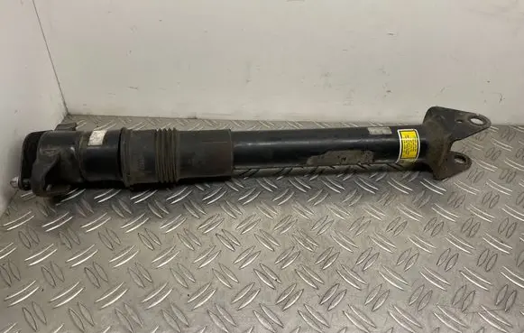 Rear shock absorber/damper
