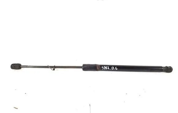 Tailgate strut