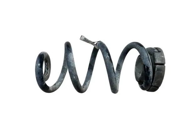 Rear coil spring