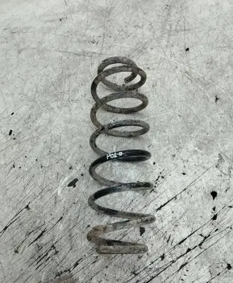 Rear coil spring