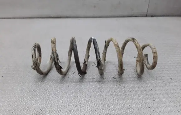 Seat Toledo II (1M) Rear coil spring