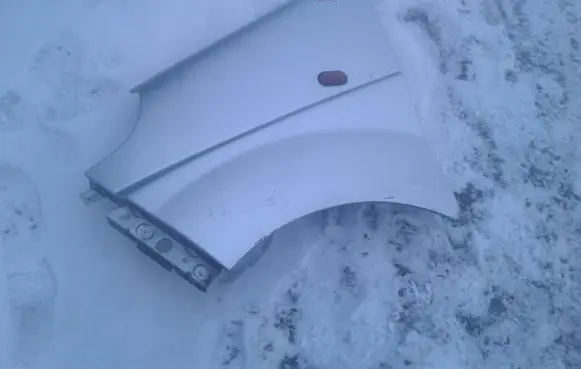 Renault Trafic II (X83) Fender