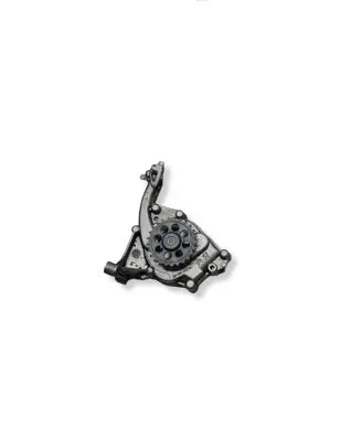 Peugeot 208 I Oil pump 9808231280