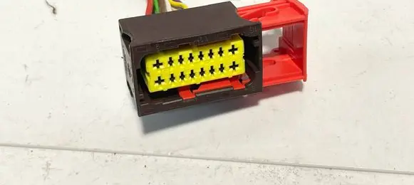 Other wiring loom