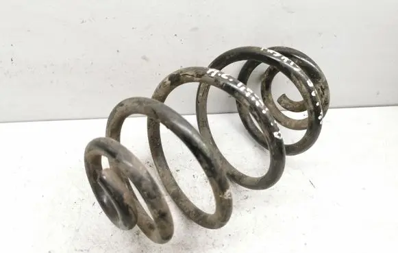 Volkswagen PASSAT B5.5 Rear coil spring