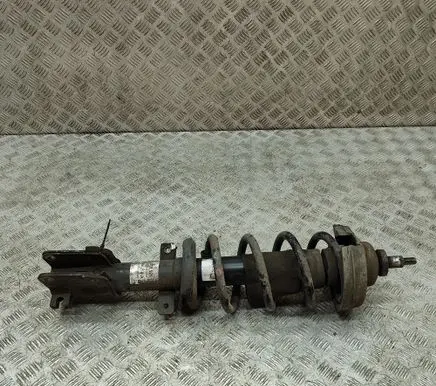 Opel Vivaro Front shock absorber/damper 824904010620 316591